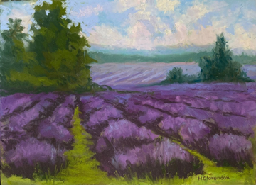 front window of store, view from outside